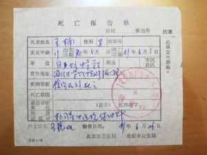 tiananmen_mothers2-0335ab680676a02f54a90b4a79cb0ff2a69a470b-s3-c85