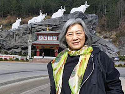 Gao Yu2016