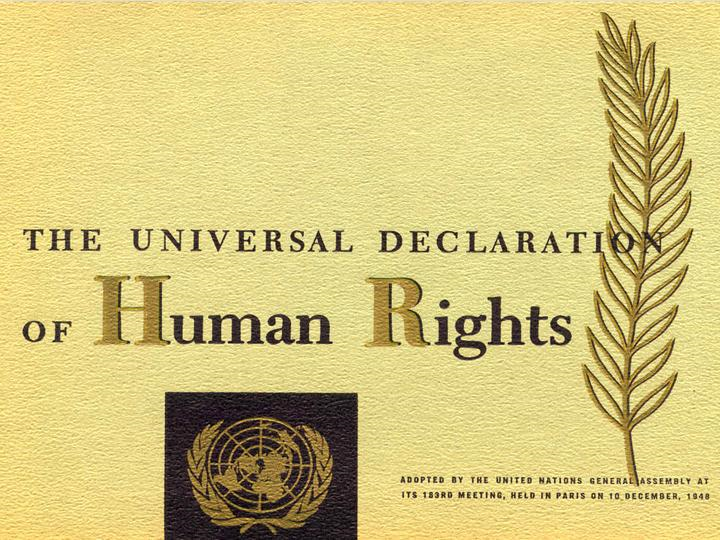 UDHR