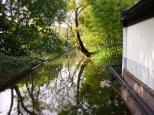 唐代市河的全面保护