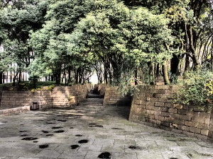 回望堑道