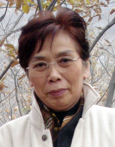   ʻڶ (2004) д佱Ƭ