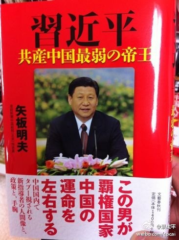 图片：矢板明夫著《习近平：共产中国最弱势的领袖》书封面（网络资料）