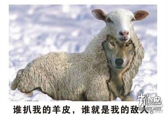 羊皮