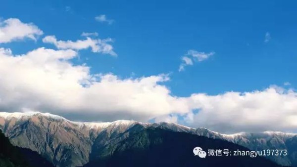 张羽2