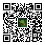 甜莲子-微信-QR-Code-Third