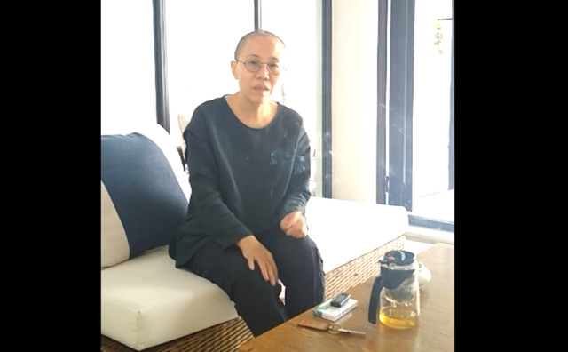刘晓波海葬之后刘霞在视频中首度曝光