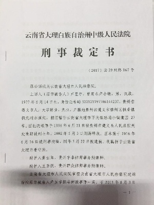 卢昱宇二审裁定书1