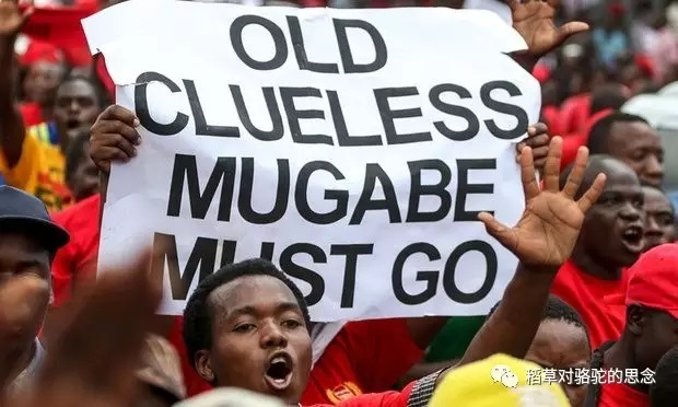 津巴布韦人反对穆加贝