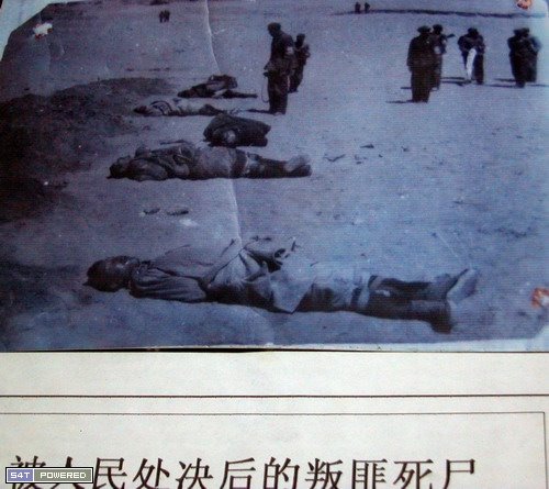 大开杀戒的西藏文革019