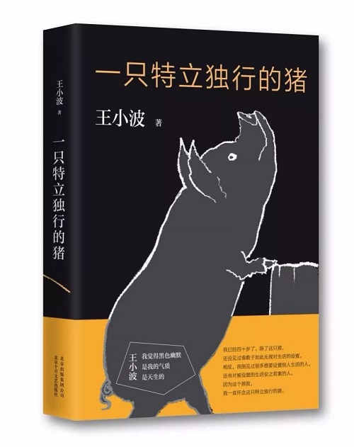 一只特立独行的猪