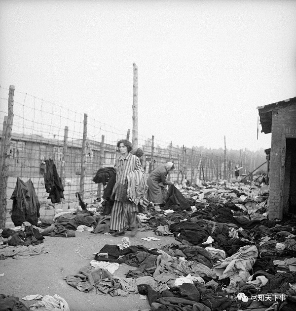 伯根-贝尔森集中营的死尸1