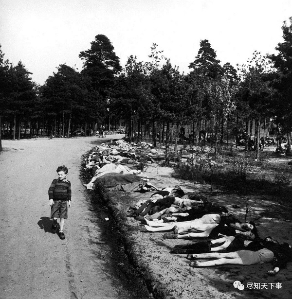 伯根-贝尔森集中营的死尸2