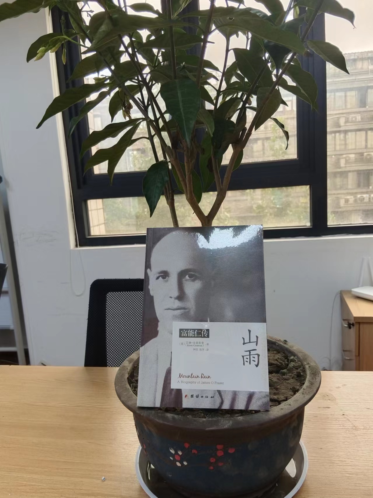 紧抱裹尸布里的女孩：以哈战争无脸肖像，夺世界新闻摄影奖2024年度图片, image size:1279x1706