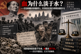 费良勇：血为什么淡于水？